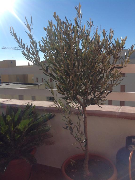 Villamari Apartment Alghero Exteriör bild